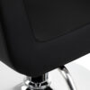 Scaun coafor Omega Lyra hidraulic, cu suport picioare, negru, negru, imaginea 9