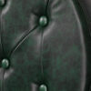 Scaun frizerie Gabbiano President Chrom, verde, verde, imaginea 8 Scaun frizerie Gabbiano President Chrom, verde, verde, imaginea 8