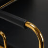 Spălător coafor Gabbiano Prato Gold cu cotiere aurii, negru, negru, imaginea 5