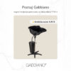 Spălător portabil Gabbiano FT42-1 cu cuvă adâncă și rezervor 10 L, imaginea 3